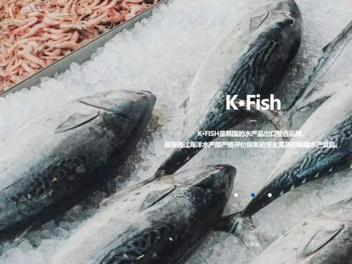 韓國水產(chǎn)協(xié)會上海貿(mào)易支援中心舉辦K-Seafood線上采購洽談會，助力國內(nèi)貿(mào)易代理合作